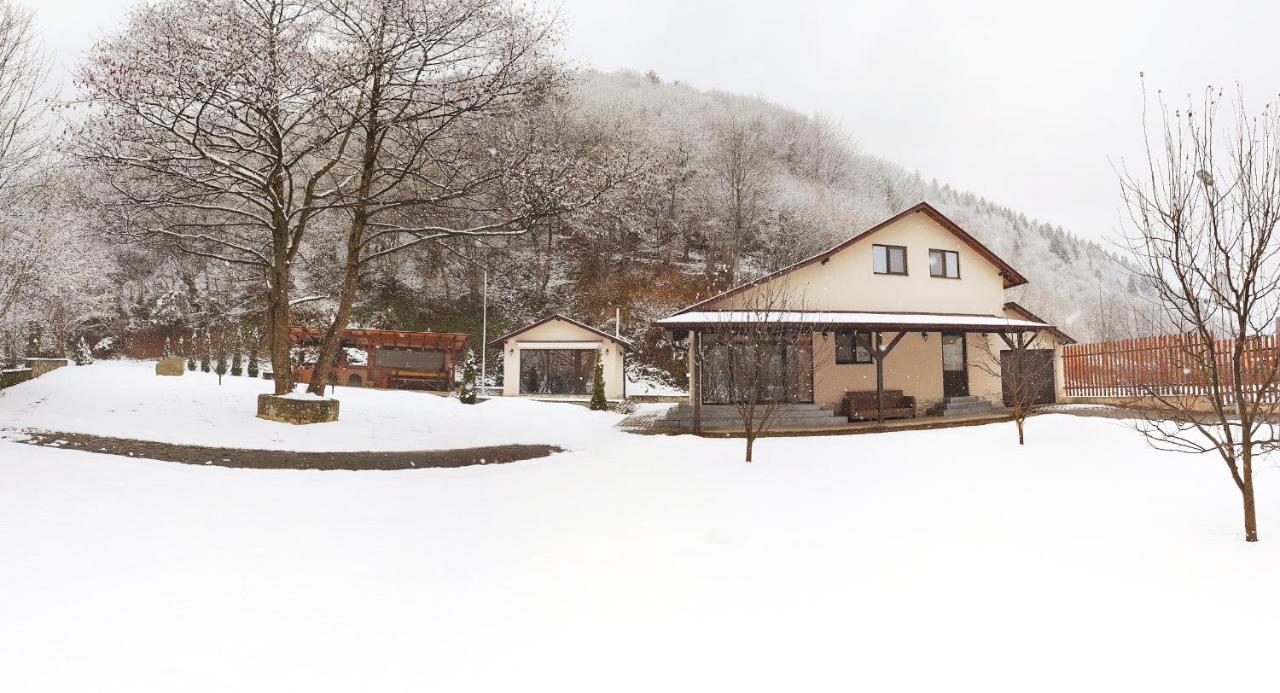 Pensiunea Tudor Breaza Buitenkant foto