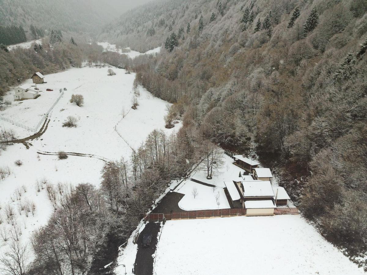 Pensiunea Tudor Breaza Buitenkant foto