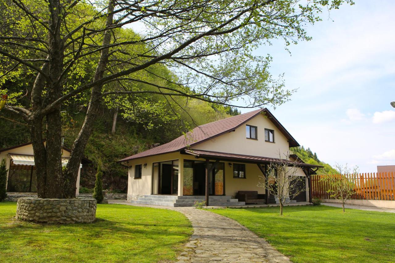 Pensiunea Tudor Breaza Buitenkant foto