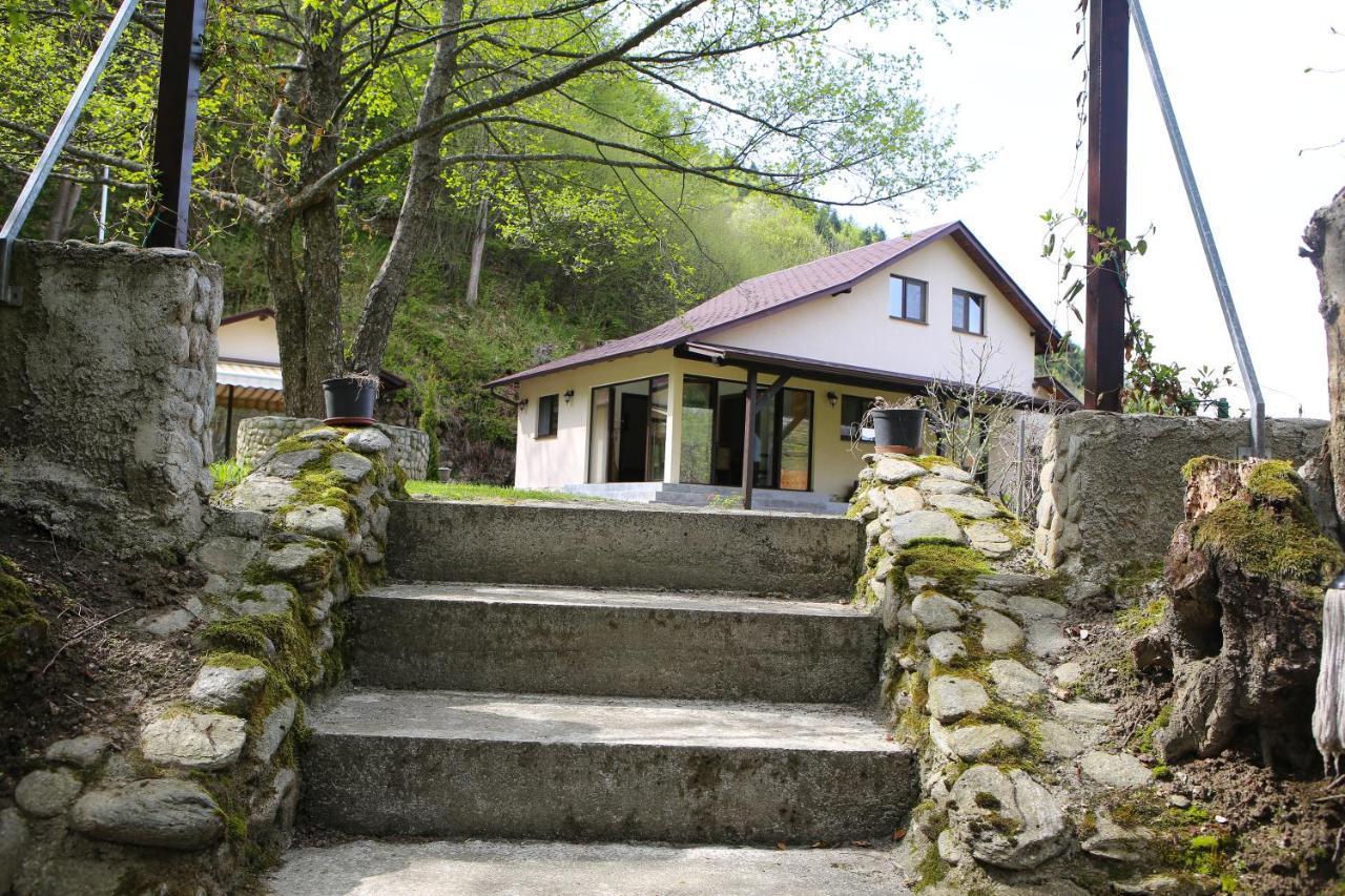 Pensiunea Tudor Breaza Buitenkant foto